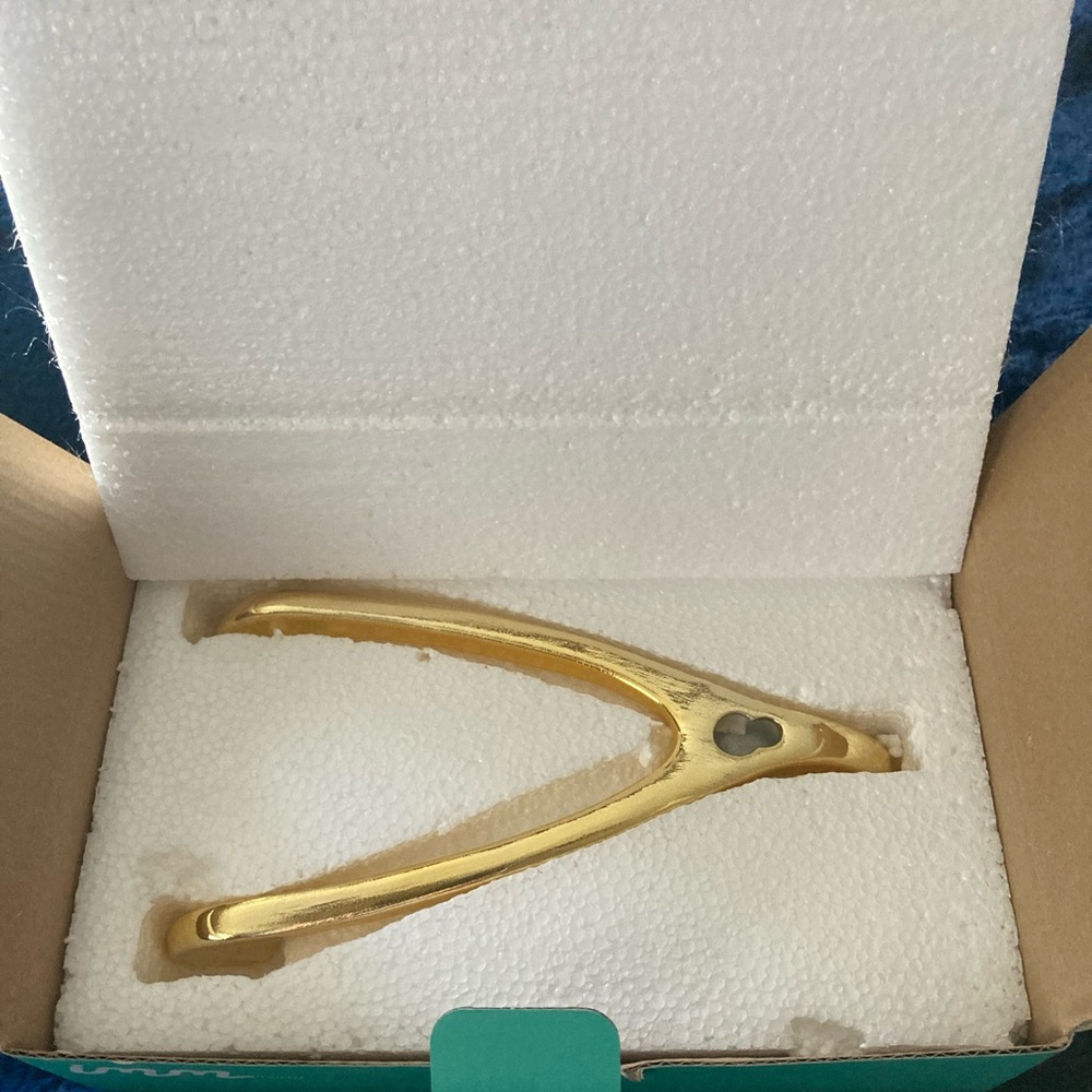 Wishbone Wall Hook